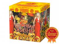 Красивая жизнь Фейерверк купить в Ядрине | yadrin.salutsklad.ru