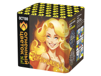 С огоньком! Фейерверк купить в Ядрине | yadrin.salutsklad.ru