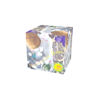 Новогодняя ночь Салют купить в Ядрине | yadrin.salutsklad.ru