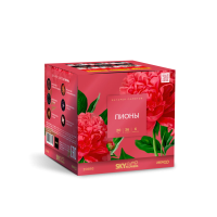 Пионы Салют купить в Ядрине | yadrin.salutsklad.ru