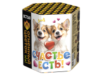 Счастье есть! Салют купить в Ядрине | yadrin.salutsklad.ru