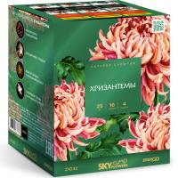 Хризантемы Фейерверк купить в Ядрине | yadrin.salutsklad.ru