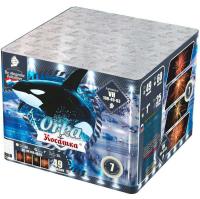 Косатка Фейерверк купить в Ядрине | yadrin.salutsklad.ru