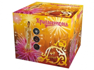 Хризантема Салют купить в Ядрине | yadrin.salutsklad.ru