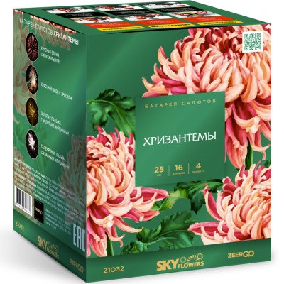 Хризантемы Фейерверк купить в Ядрине | yadrin.salutsklad.ru